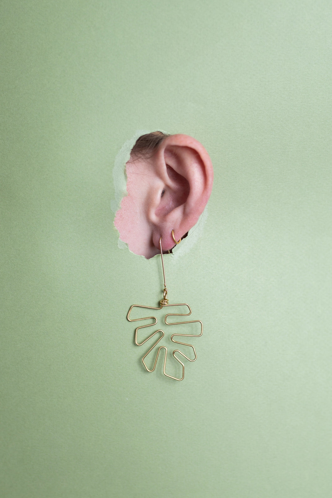 Francie // Brass Leaf Earrings